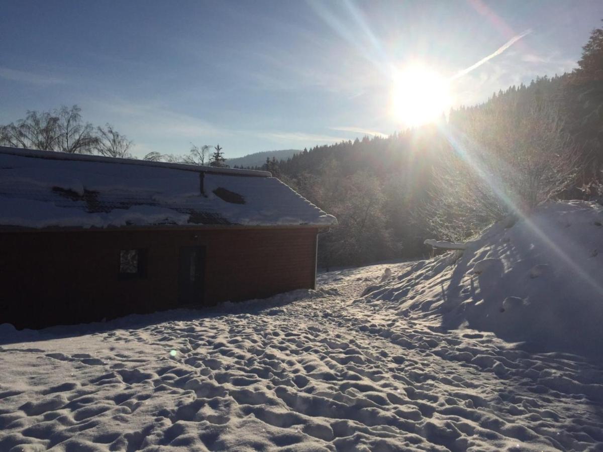 Chalet A L'Oree Du Bois 르톨리 외부 사진