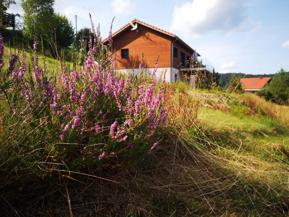 Chalet A L'Oree Du Bois 르톨리 외부 사진